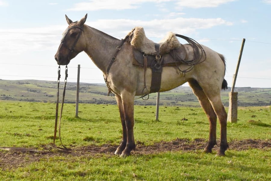 Lote Cabaña "Cimarrón" - RP 13 - Calandria El Cimarrón