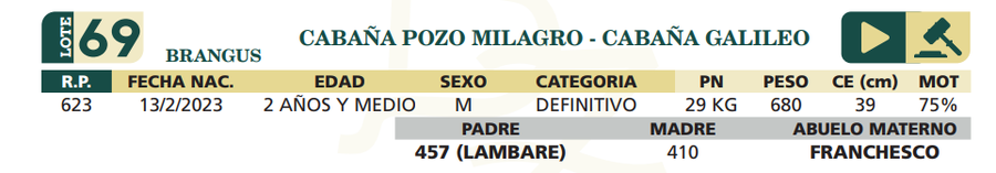 Lote LOTE 69