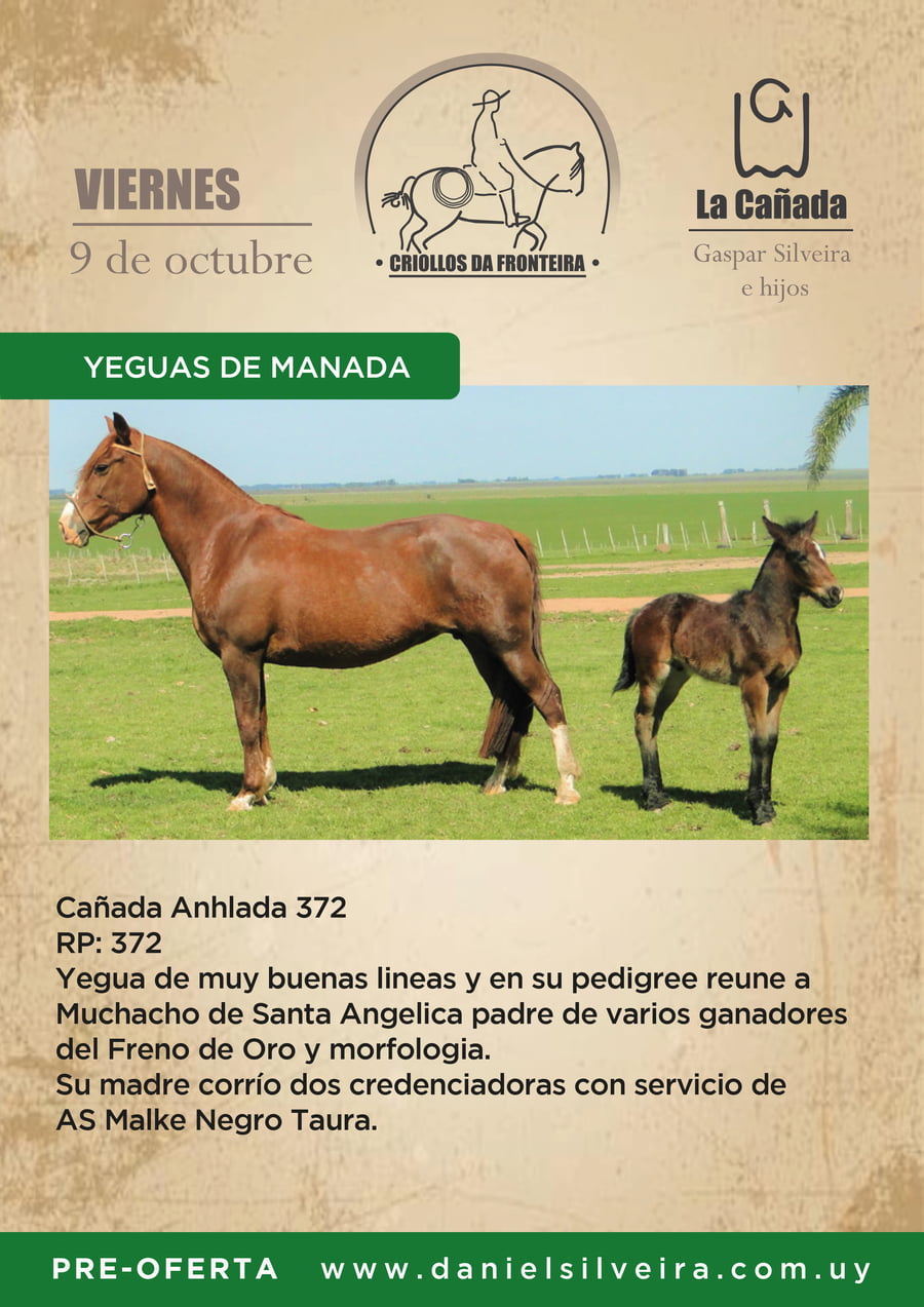 Lote Criollos da Fronteira Cañada Anhlada