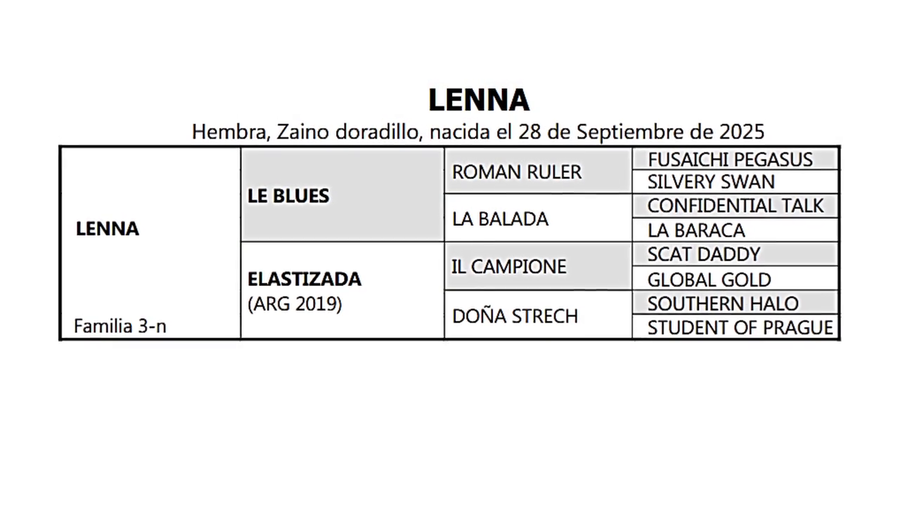 Lote LENNA