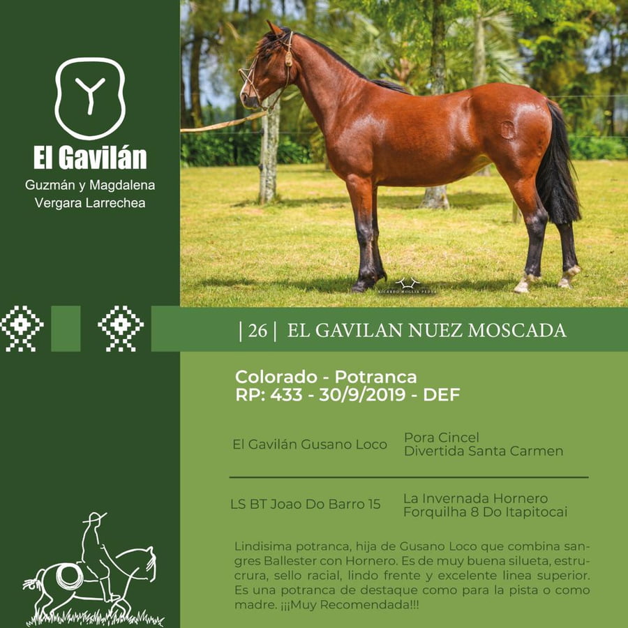 Lote El Gavilán Nuez Moscada (RP 433) Cabaña "El Gavilán"