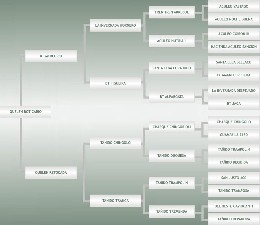 Lote Quelén Boticario - Venta de 3 Paquetes de semen congelado