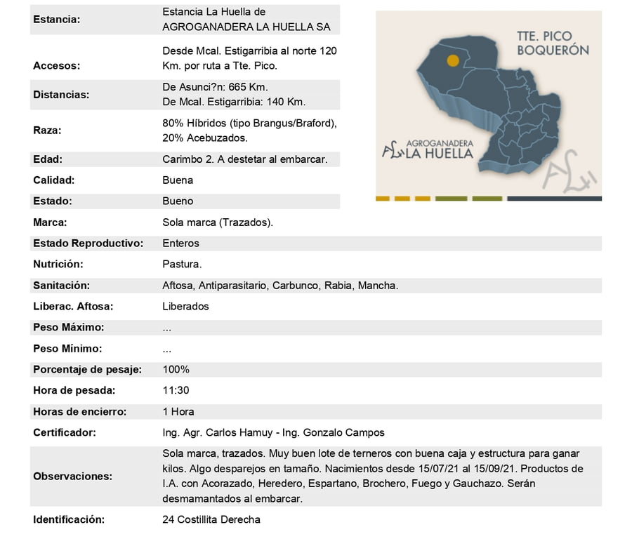 Lote Lote 3