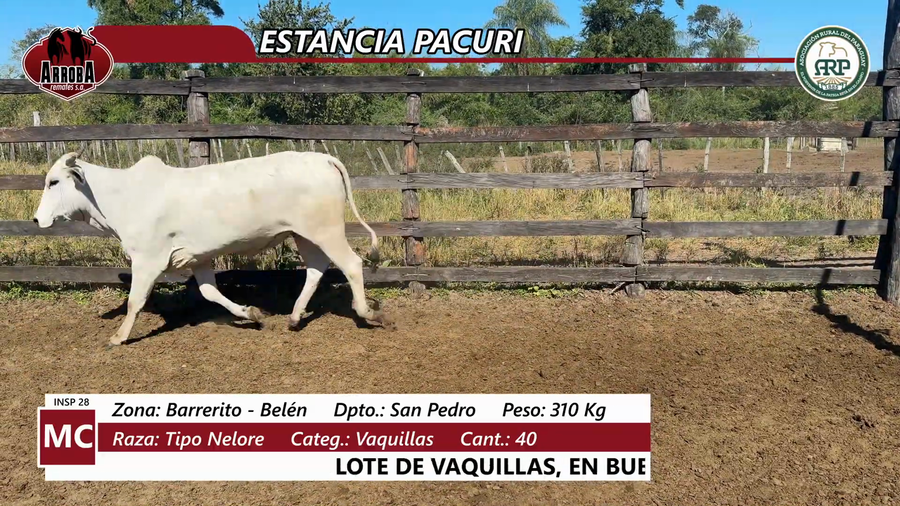 Lote Estancia Pacuri