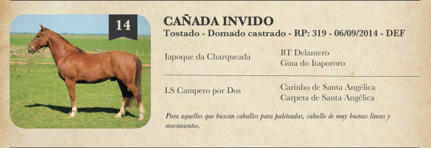 Lote Criollos da Fronteira Cañada Invido  RP: 319