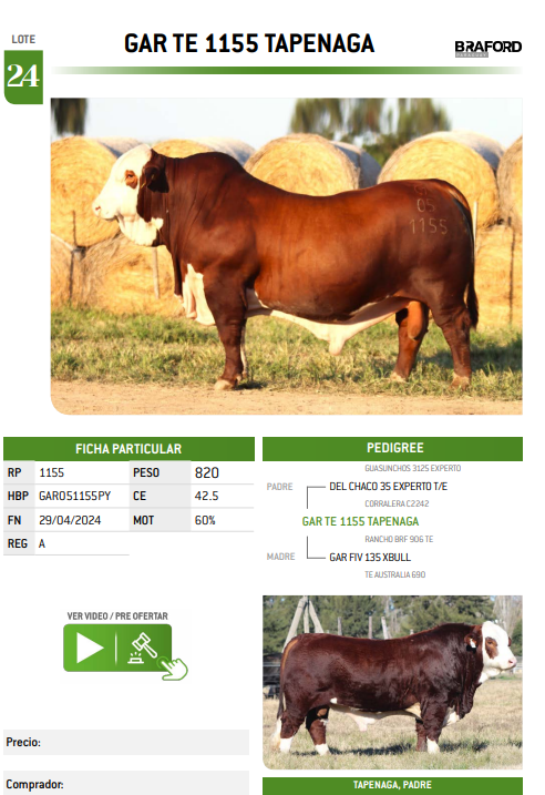 Lote LOTE 24