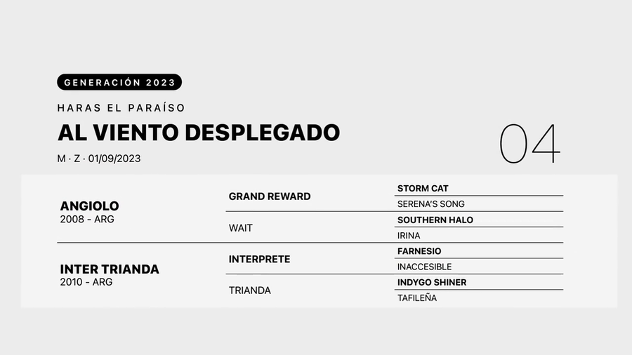 Lote AL VIENTO DESPLEGADO