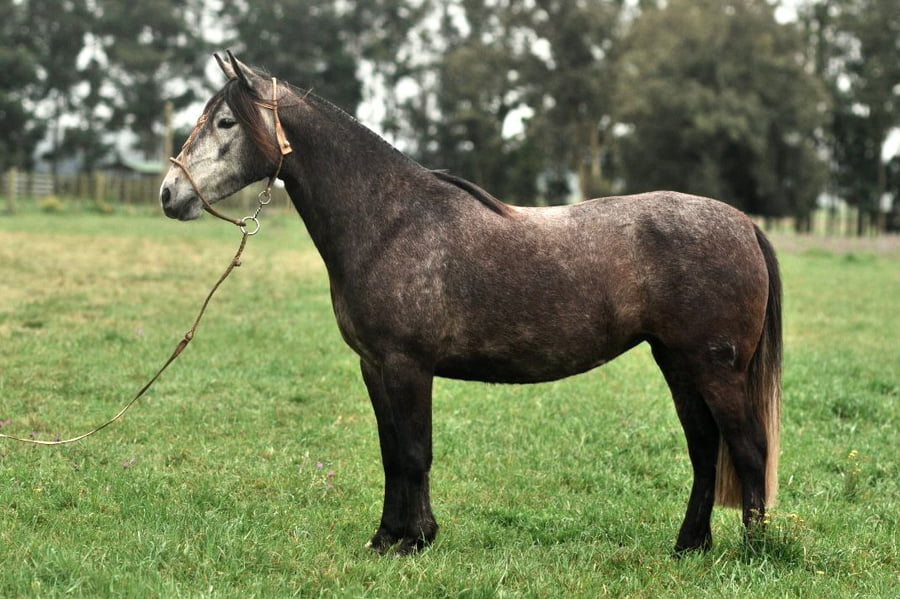 Lote Cañada Linda Moza (RP 380) Cabaña "La Cañada"