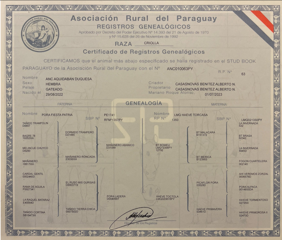 Lote LOTE 10 - DE CAMPO
