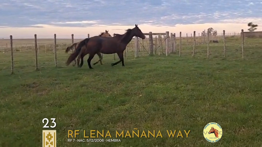 Lote Rf Lena Mañana Way