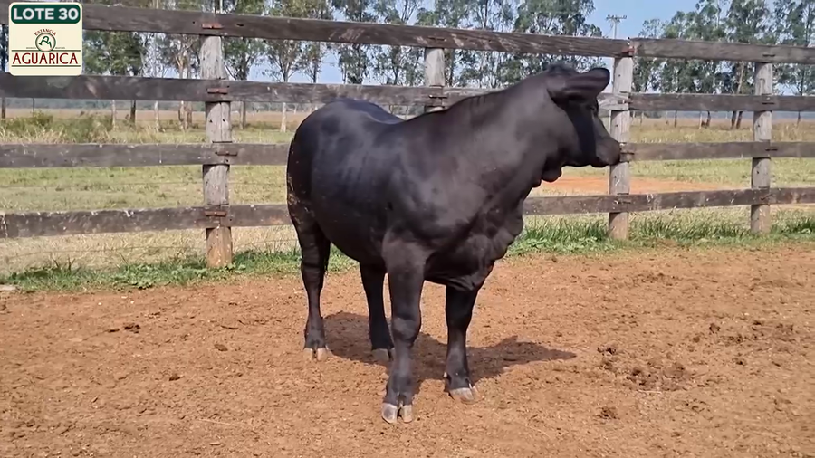 Lote LOTE 30
