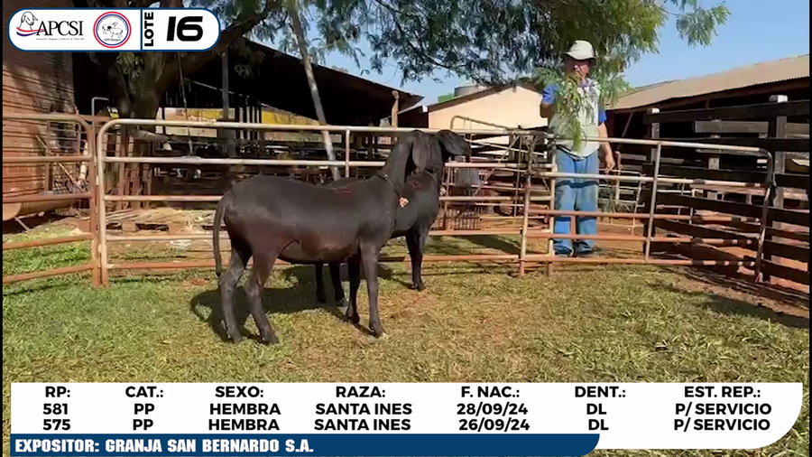 Lote LOTE 16