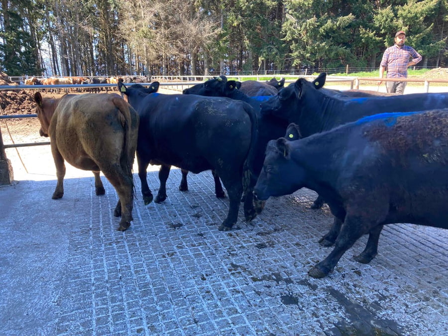 Lote 15 Vaca Gorda en Puerto Varas, X Región Los Lagos