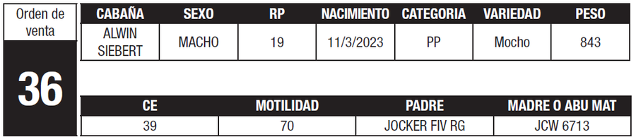 Lote LOTE 36