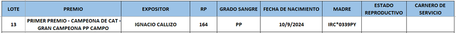 Lote LOTE 13
