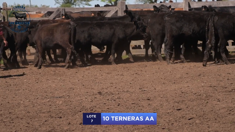 Lote Lote 7 - San Sebastian