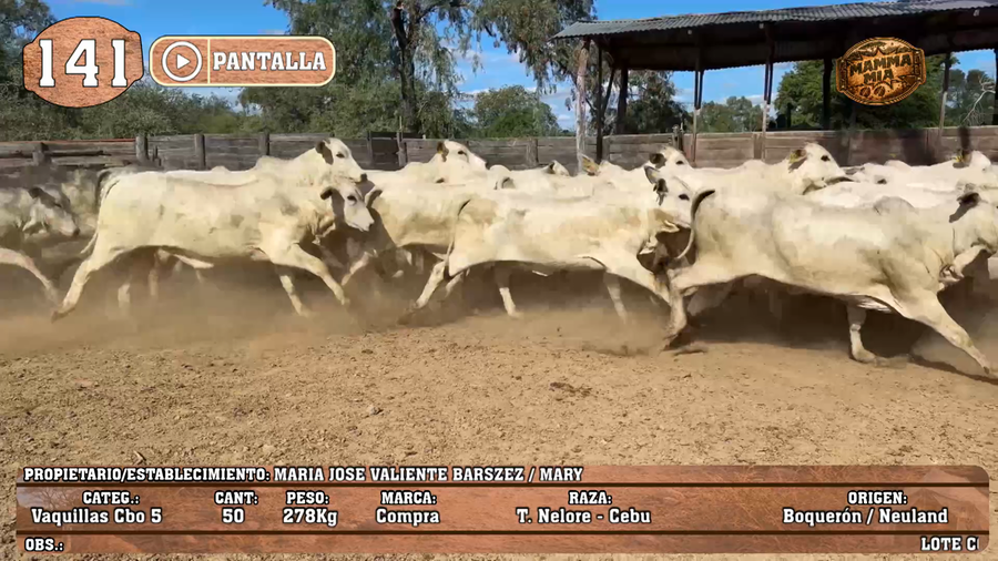 Lote LOTE 141 - PANTALLA