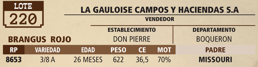Lote LOTE 220 - VIVO