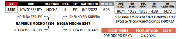 Lote LOTE 50