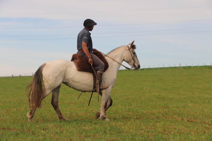 Lote SANTA GLORIA CHIMBA
