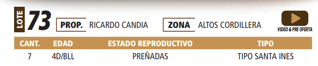 Lote LOTE 73 -POR PANTALLA