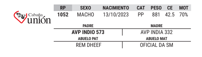 Lote LOTE 38