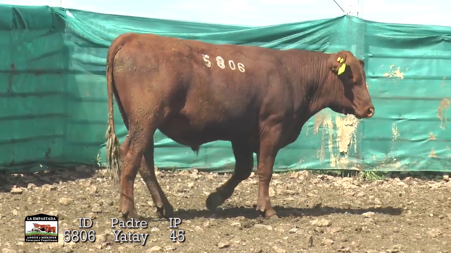 Lote Lote 9