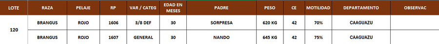 Lote LOTE 120