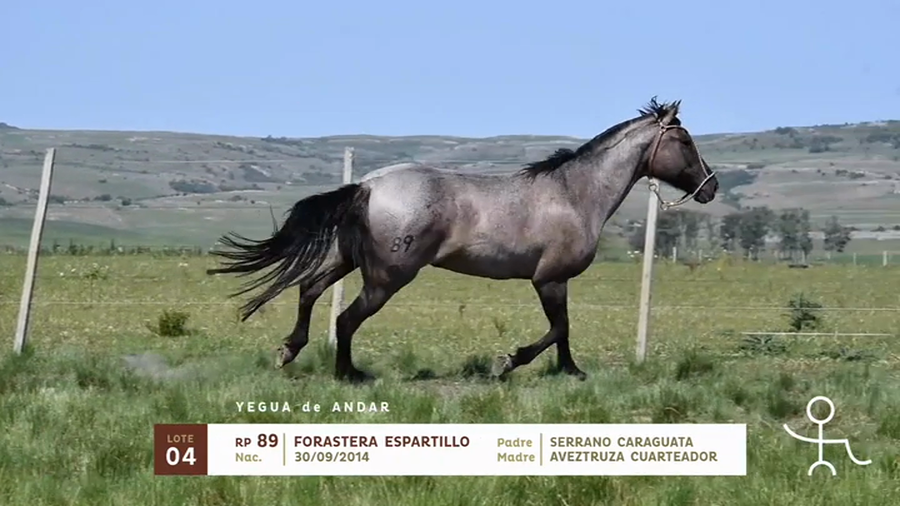 Lote FORASTERA ESPARTILLO