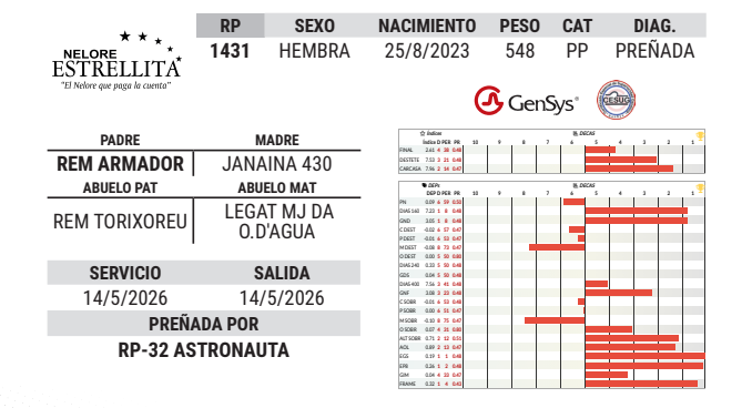 Lote LOTE 18