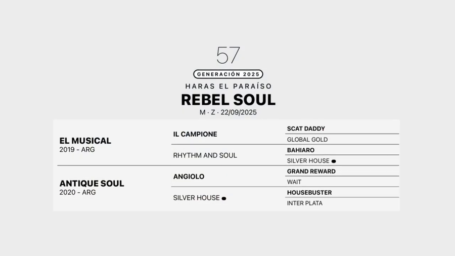 Lote REBEL SOUL