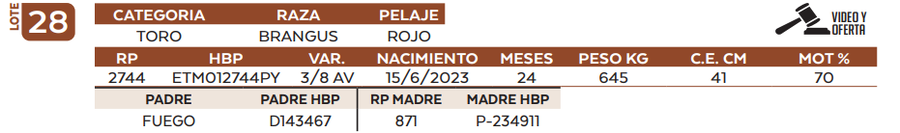 Lote LOTE 28