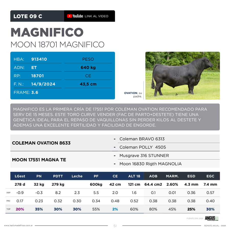 Lote RP 18670, 18717 Y  18701 - Toro PP