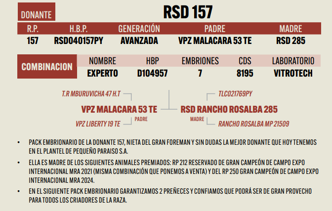 Lote LOTE 16