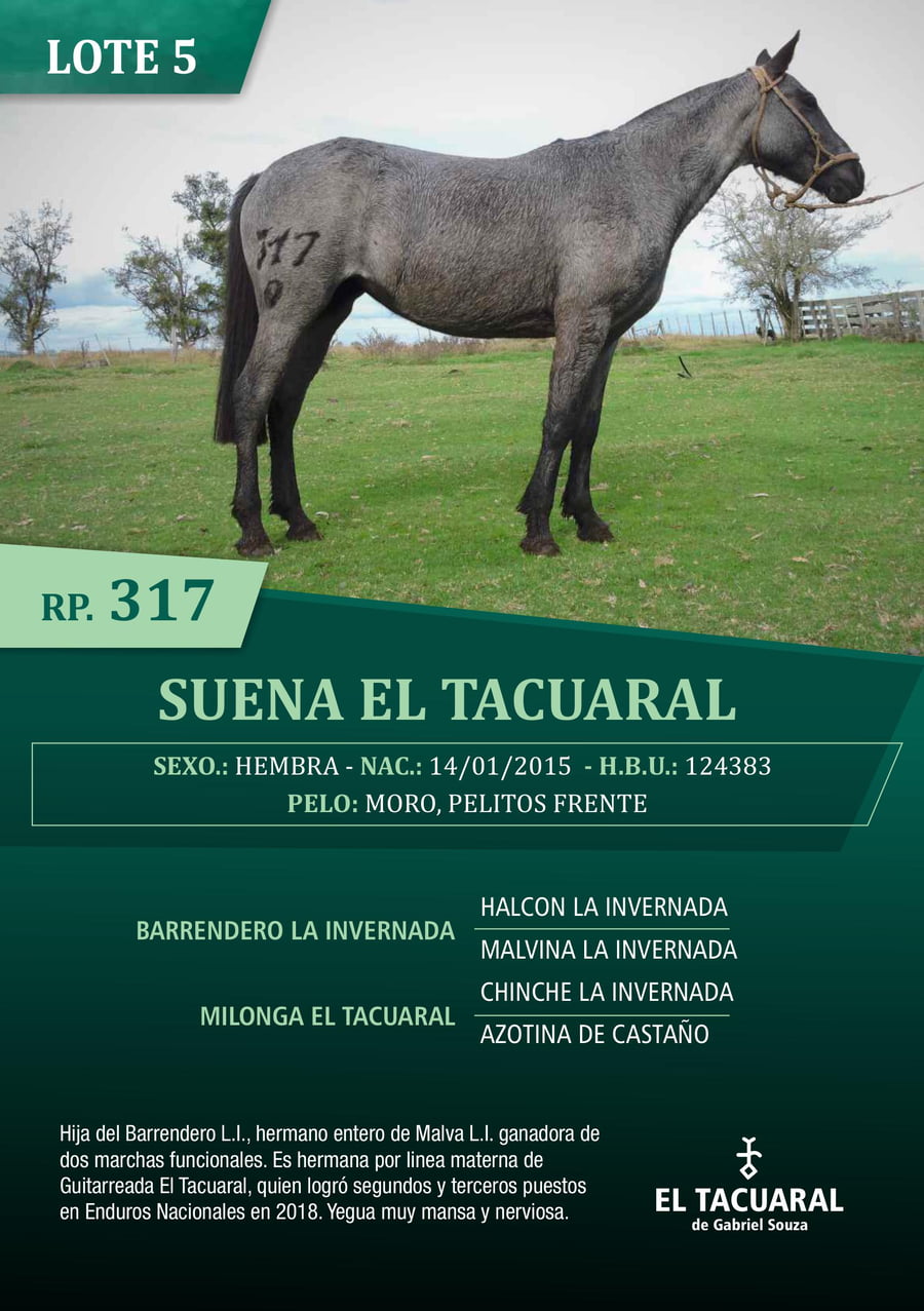 Lote SUENA EL TACUARAL - R.P. 317