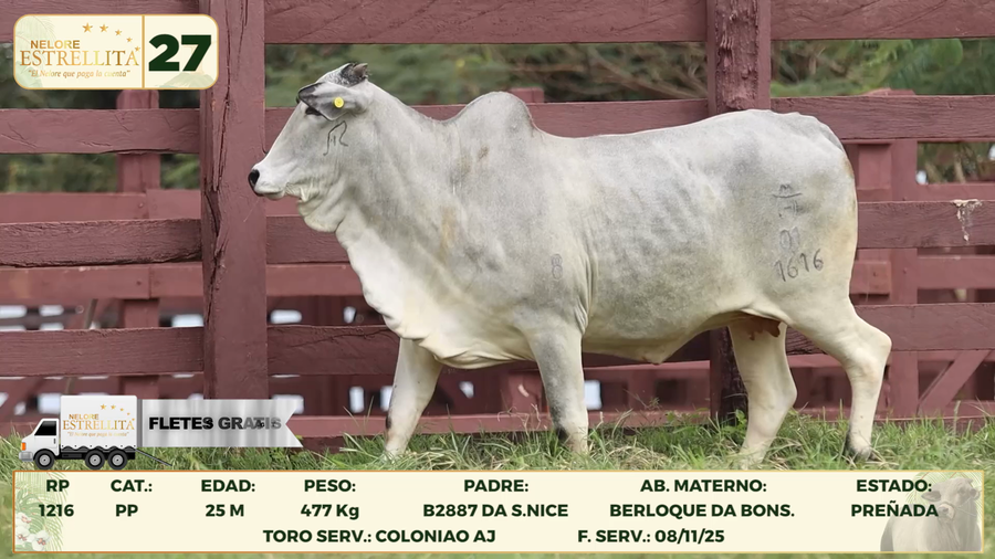 Lote LOTE 27
