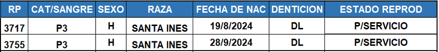 Lote LOTE 61