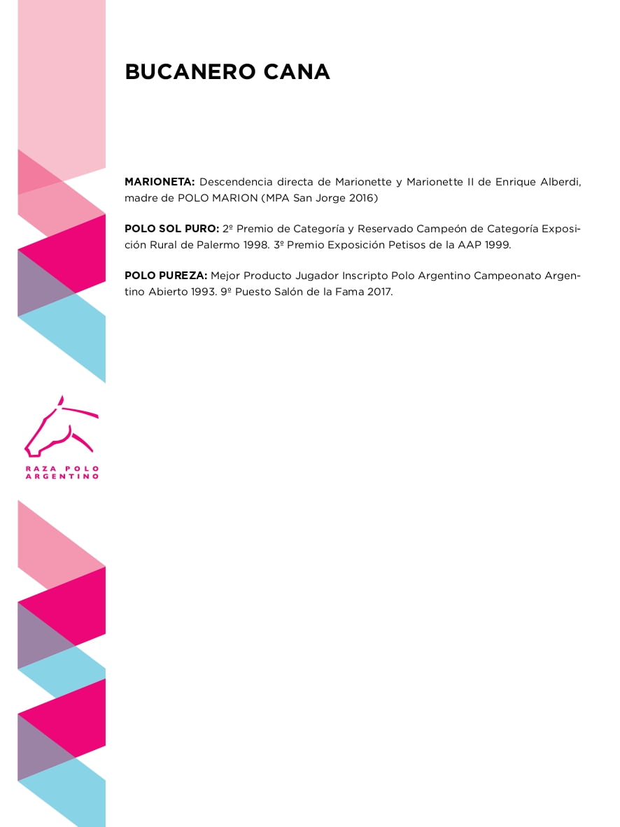 Lote BUCANERO CANA (COMPOTA - MALAPATA VELA)