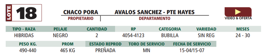 Lote LOTE 18