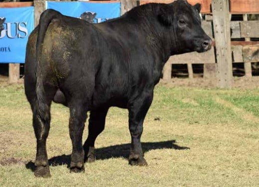 Lote CABAÑA "COEMBOTA" DE CALDERÓN RP 184