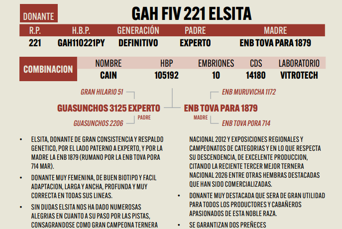 Lote LOTE 15