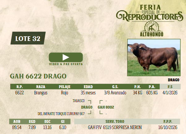 Lote LOTE 32