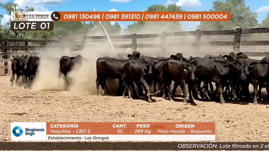 Lote ESTANCIA LAS GRINGAS