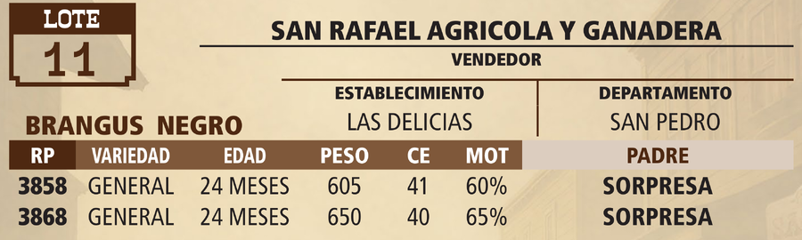 Lote LOTE 11 - VIVO