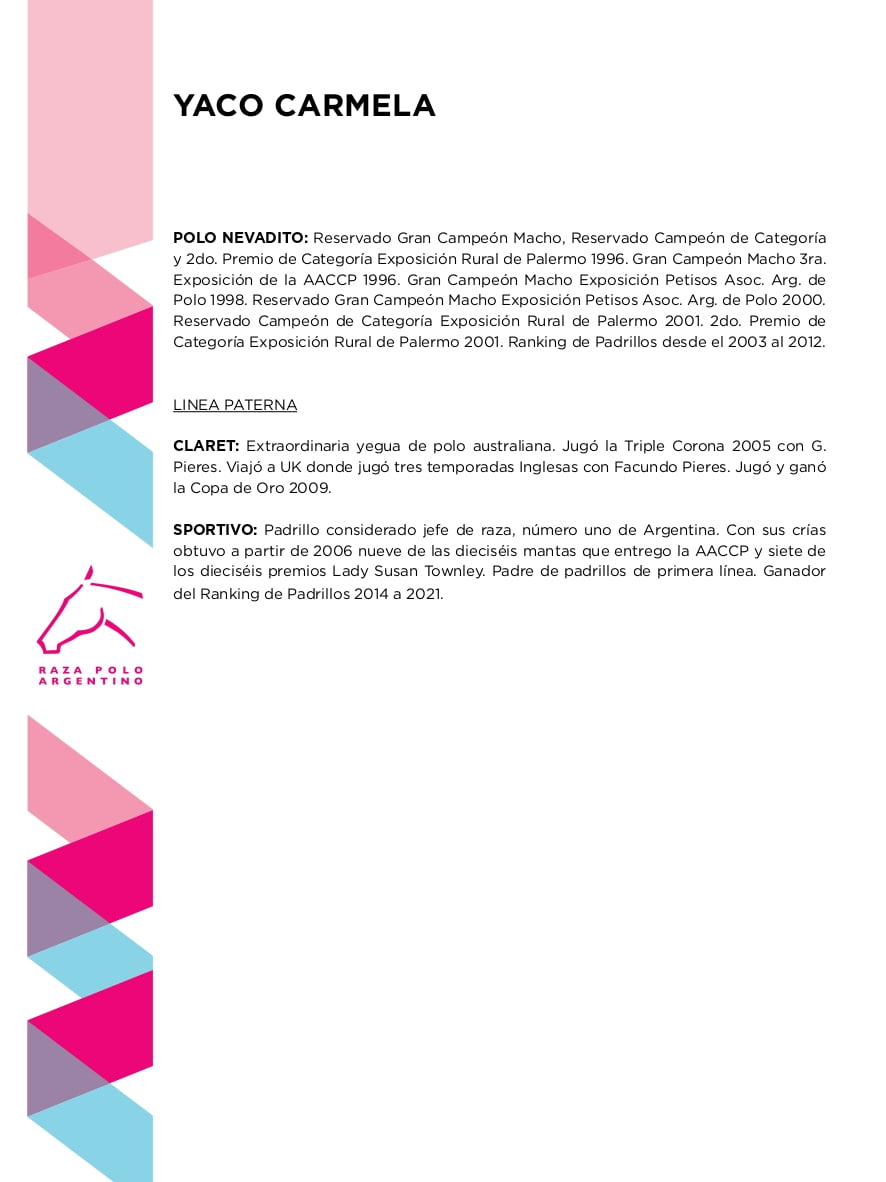 Lote YACO CARMELA (OPEN MALBEC - CHAPALEUFU CARIOCA)