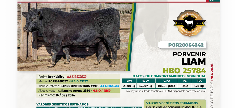 Lote 1 Toro LIAM DIIO 4242