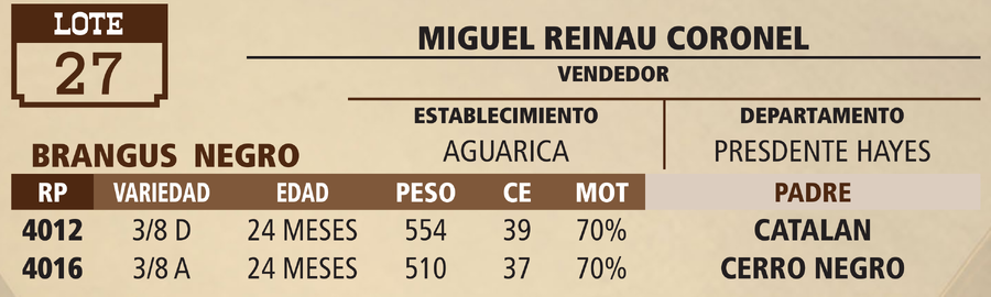 Lote LOTE 27 - PANTALLA