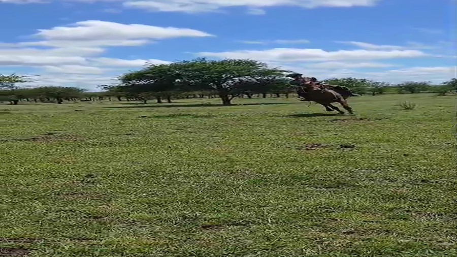 Lote 2 Montados en Corrientes, Curuzú-Cuatiá