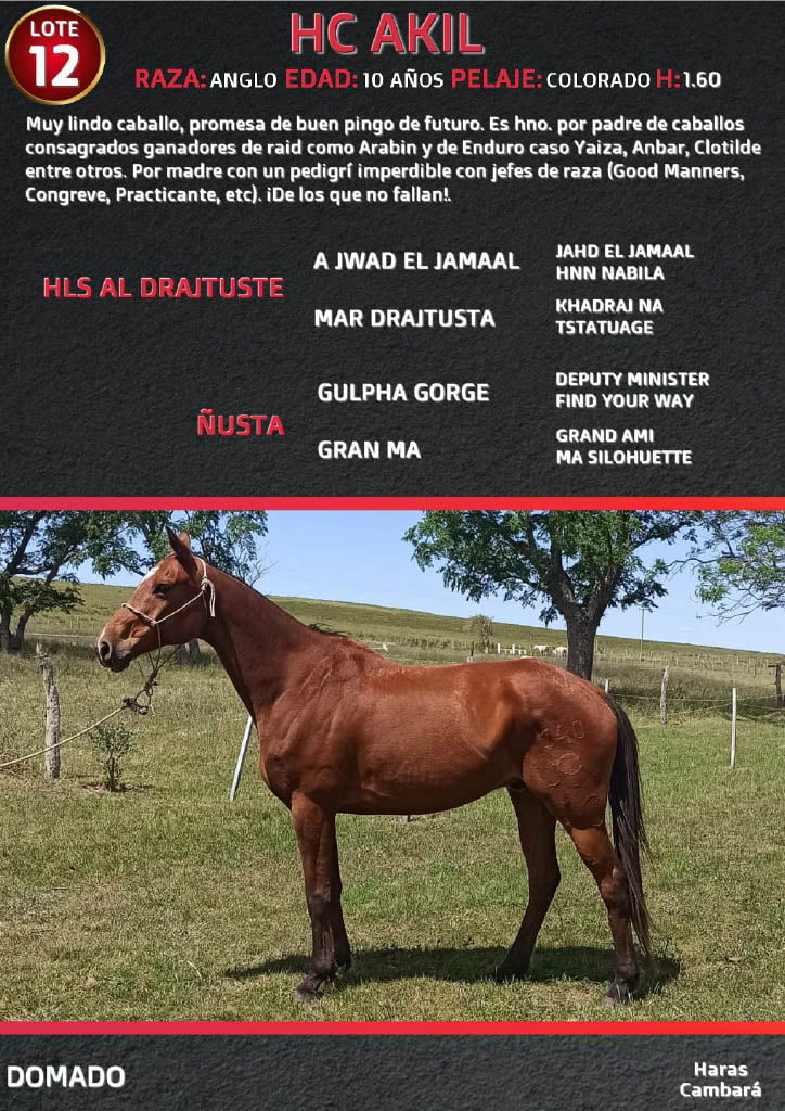Lote HC AKIL