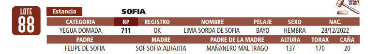 Lote LOTE 88